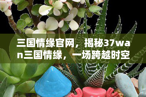 三国情缘官网，揭秘37wan三国情缘，一场跨越时空的浪漫情怀之旅