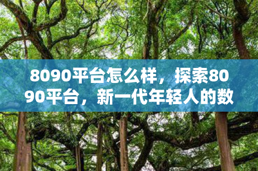 8090平台怎么样，探索8090平台，新一代年轻人的数字生活乐园