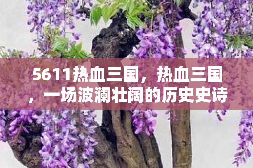 5611热血三国，热血三国，一场波澜壮阔的历史史诗