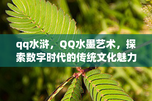 qq水浒，QQ水墨艺术，探索数字时代的传统文化魅力