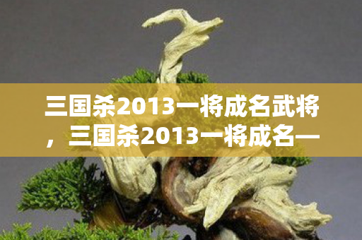 三国杀2013一将成名武将，三国杀2013一将成名—英雄再临的时代篇章