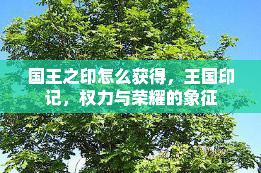 国王之印怎么获得，王国印记，权力与荣耀的象征