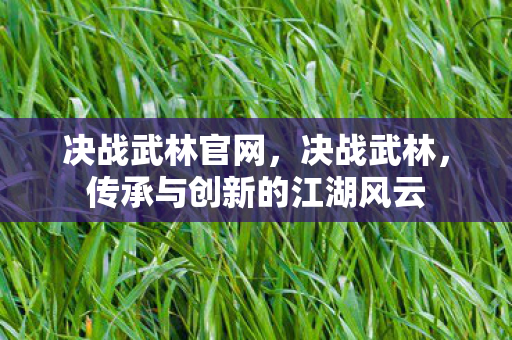 决战武林官网，决战武林，传承与创新的江湖风云