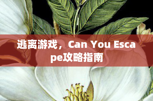 逃离游戏，Can You Escape攻略指南