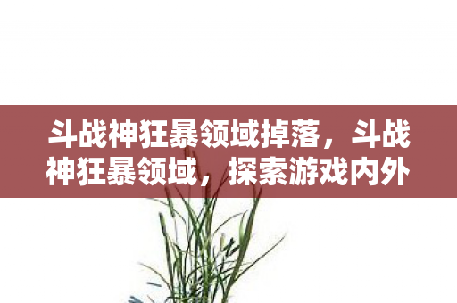 斗战神狂暴领域掉落，斗战神狂暴领域，探索游戏内外的极致体验