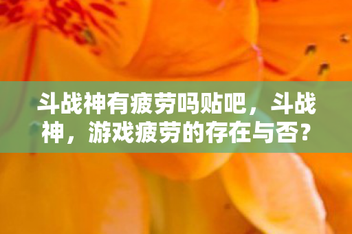 斗战神有疲劳吗贴吧，斗战神，游戏疲劳的存在与否？