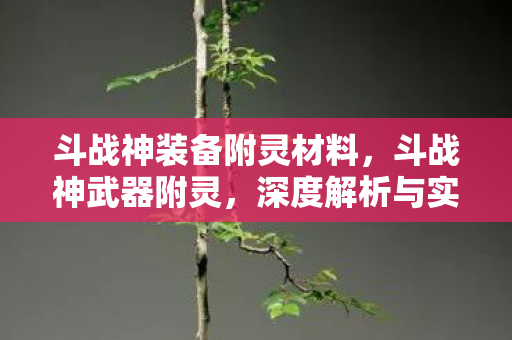 斗战神装备附灵材料，斗战神武器附灵，深度解析与实战攻略