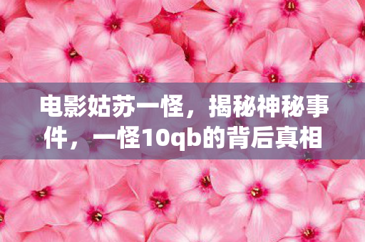 电影姑苏一怪，揭秘神秘事件，一怪10qb的背后真相