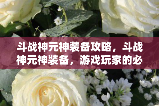 斗战神元神装备攻略，斗战神元神装备，游戏玩家的必备利器