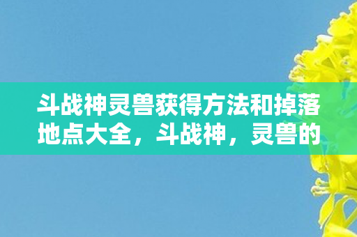 斗战神灵兽获得方法和掉落地点大全，斗战神，灵兽的获得攻略