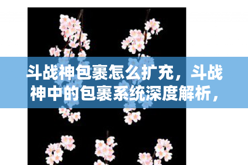 斗战神包裹怎么扩充，斗战神中的包裹系统深度解析，从新手到高手的必备知识