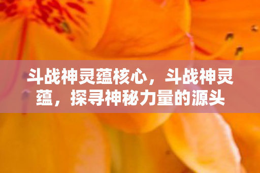 斗战神灵蕴核心，斗战神灵蕴，探寻神秘力量的源头