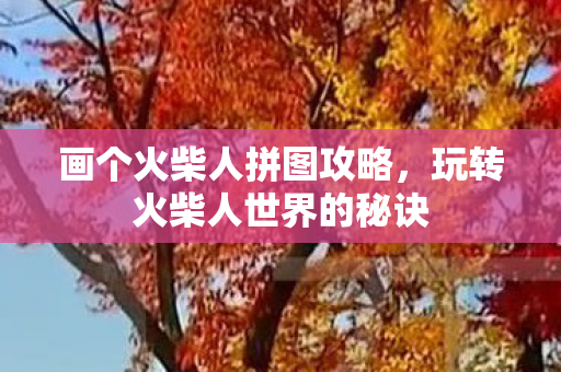 画个火柴人拼图攻略，玩转火柴人世界的秘诀