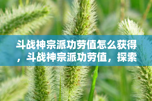 斗战神宗派功劳值怎么获得，斗战神宗派功劳值，探索、荣誉与奖励的全方位解析