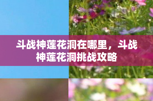 斗战神莲花洞在哪里，斗战神莲花洞挑战攻略