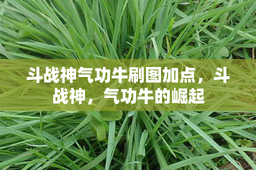 斗战神气功牛刷图加点，斗战神，气功牛的崛起