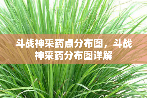 斗战神采药点分布图，斗战神采药分布图详解