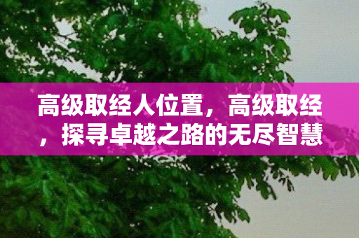 高级取经人位置，高级取经，探寻卓越之路的无尽智慧