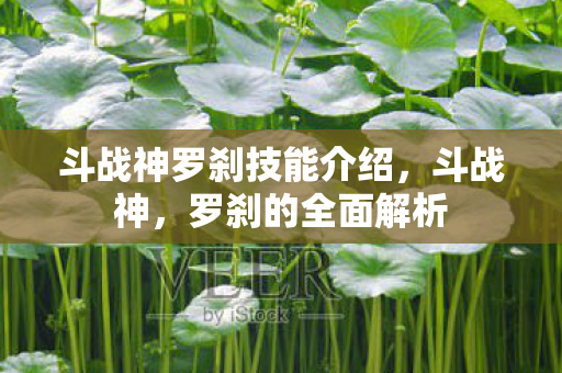 斗战神罗刹技能介绍，斗战神，罗刹的全面解析