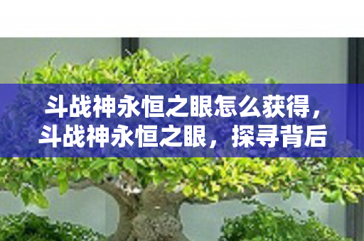 斗战神永恒之眼怎么获得，斗战神永恒之眼，探寻背后的故事与魅力