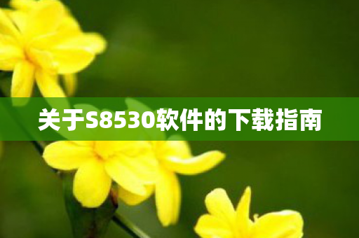 关于S8530软件的下载指南