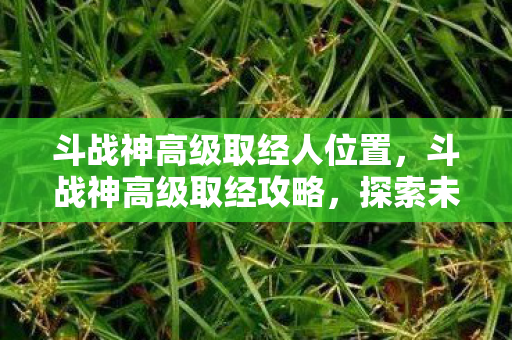 斗战神高级取经人位置，斗战神高级取经攻略，探索未知领域，挑战更高境界
