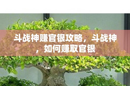 斗战神赚官银攻略，斗战神，如何赚取官银