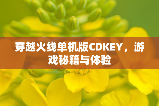 穿越火线单机版CDKEY，游戏秘籍与体验