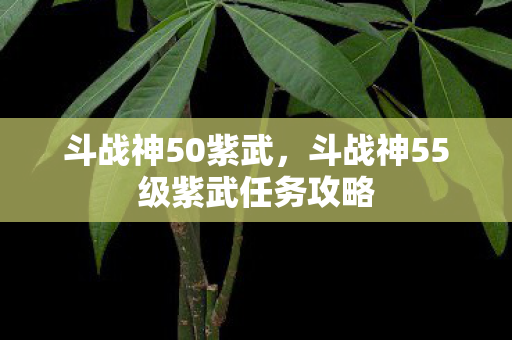 斗战神50紫武，斗战神55级紫武任务攻略