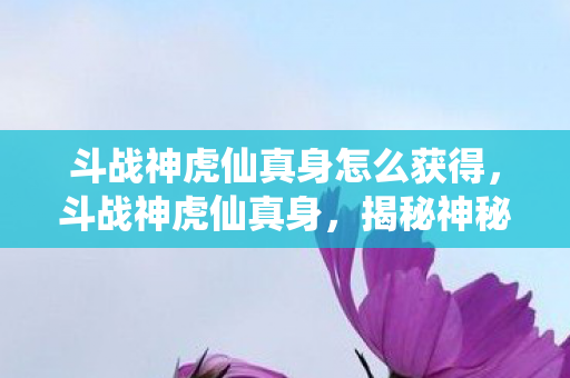 斗战神虎仙真身怎么获得，斗战神虎仙真身，揭秘神秘力量背后的传说