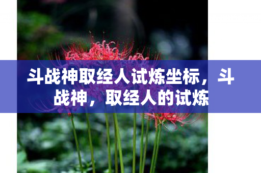 斗战神取经人试炼坐标，斗战神，取经人的试炼