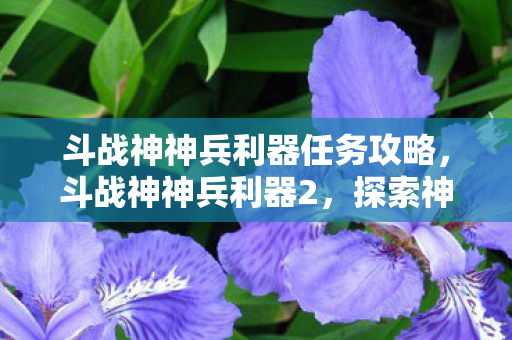 斗战神神兵利器任务攻略，斗战神神兵利器2，探索神秘力量的终极武器