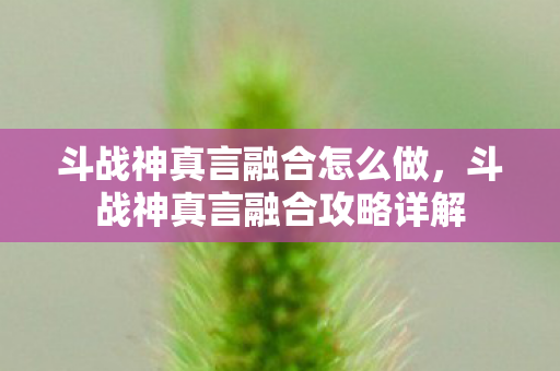 斗战神真言融合怎么做，斗战神真言融合攻略详解
