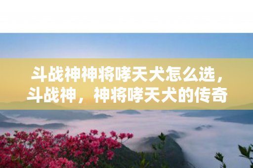 斗战神神将哮天犬怎么选，斗战神，神将哮天犬的传奇之旅
