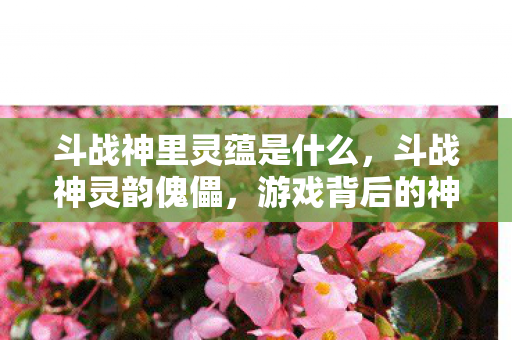 斗战神里灵蕴是什么，斗战神灵韵傀儡，游戏背后的神秘力量