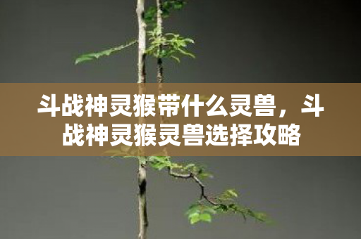 斗战神灵猴带什么灵兽，斗战神灵猴灵兽选择攻略