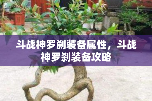 斗战神罗刹装备属性，斗战神罗刹装备攻略