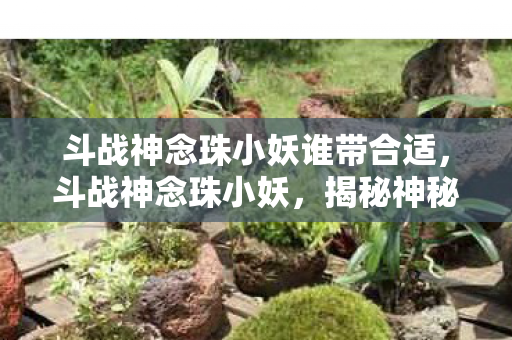 斗战神念珠小妖谁带合适，斗战神念珠小妖，揭秘神秘力量的背后故事