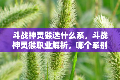 斗战神灵猴选什么系，斗战神灵猴职业解析，哪个系别更适合你？