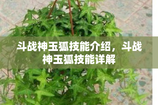 斗战神玉狐技能介绍，斗战神玉狐技能详解