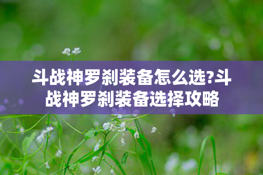 斗战神罗刹装备怎么选?斗战神罗刹装备选择攻略