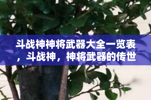 斗战神神将武器大全一览表，斗战神，神将武器的传世之力