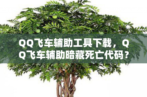 QQ飞车辅助工具下载,QQ飞车辅助暗藏死亡代码?2027年悬案,我的账号在午夜自己跑图! QQ飞车辅助工具下载,QQ飞车辅助暗藏死亡代码?2027年悬案,我的账号在午夜自己跑图!