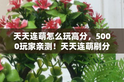 天天连萌怎么玩高分,5000玩家亲测!天天连萌刷分疑云,这辅助真能绷住? 天天连萌怎么玩高分,5000玩家亲测!天天连萌刷分疑云,这辅助真能绷住?