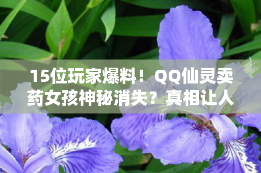 15位玩家爆料!QQ仙灵卖药女孩神秘消失?真相让人绷不住! 15位玩家爆料!QQ仙灵卖药女孩神秘消失?真相让人绷不住!