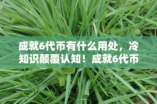 成就6代币有什么用处，冷知识颠覆认知！成就6代币的真相让我目瞪口呆，十年白玩！
