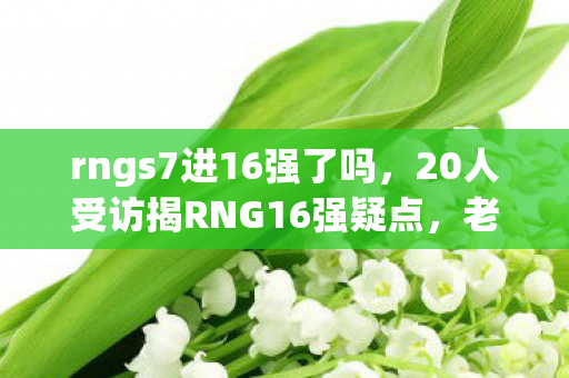 20人受访揭RNG16强疑点图片
