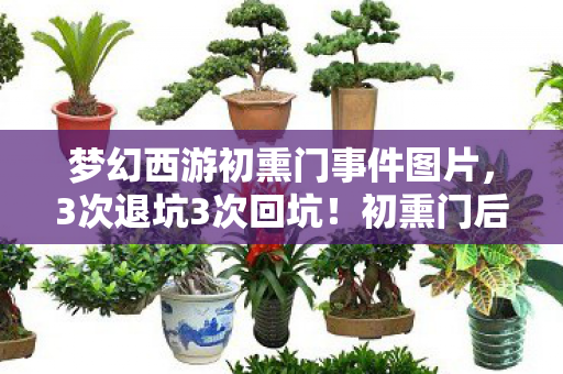 初熏门后我竟在2027年重燃热血图片