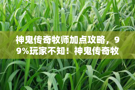 神鬼传奇牧师加点暗藏3大逆天机制图片