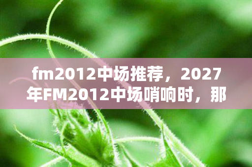 2027年FM2012中场哨响时图片